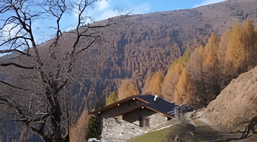 verdomana